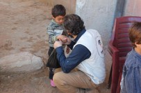 BEBEK MAMASI - İMKANDER'den Suriye'ye Gıda Yardımı