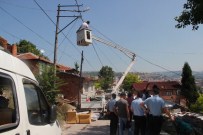 DAĞITIM ŞİRKETİ - Kocaeli'de Kaçak Elektrik Operasyonu