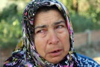 Manisa'da 15 Kişinin Öldüğü Trafik Kazası