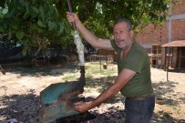 Nazilli'de Nalbantlık 100 Yıldır Yaşatılıyor