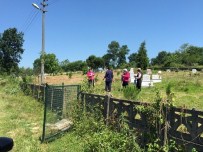 SALTUKOVA - Saltukova'da Mezarlıkların Temizliğine Başlandı