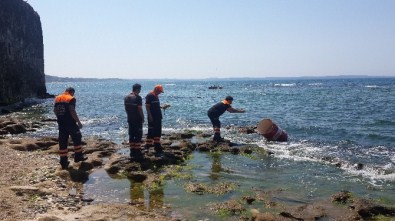 Sinop'ta Sahile Vuran Varil Yetkilileri Harekete Geçirdi