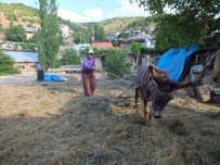 DEDEMLI - Toroslar'da Kadınların Zorlu Yaşam Mücadelesi