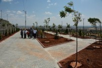 BEDEVI - Başkan Kara, Şeyh Muhamed Bedevi Türbesine Yapılan Mesire Alanını Gezdi