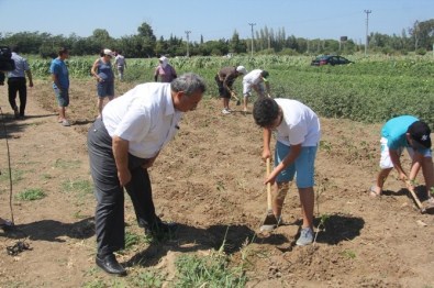 Burhaniye'de Öğrenciler Sebze Üretmeyi Öğreniyor