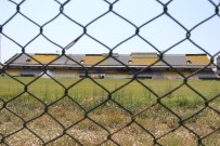 İZMIRSPOR - İzmir Alsancak Stadı Ne Olacak ?