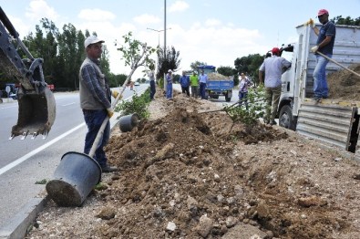 Karaman Belediyesi Yemyeşil Bir Karaman İçin Çalışıyor