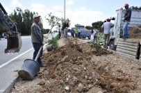 KONYA YOLU - Karaman Belediyesi Yemyeşil Bir Karaman İçin Çalışıyor
