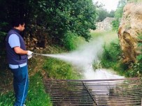 TAHSİN BABAŞ - Kastamonu Belediyesi, Haşerelerle Mücadele Ediyor