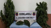 Kırklareli'de 8 Kilo Esrar Ele Geçirildi