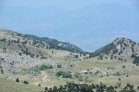 Sıcaktan Kaçanların Adresi Toros Yaylaları