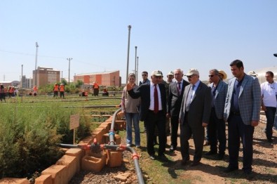 Vali Kösger, Fidanlığı Ziyaret Etti