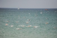 Barış İçin Kulaç Attılar