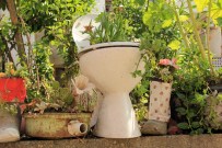 ELEKTRİK SÜPÜRGESİ - Dünyanın En İlginç Çiçek Bahçesi