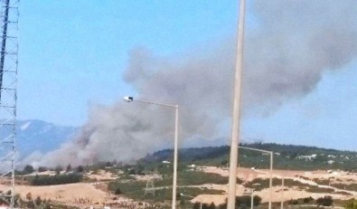 İzmir'de Yangın Paniği