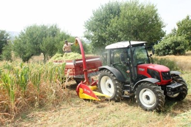 Tekirdağ'da Silaj Hasadı Başladı