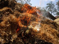 Tokat'ta Saman Yangını