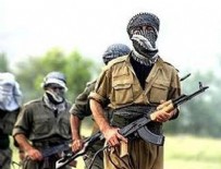 KADIN TERÖRİST - Üst düzey PKK yöneticisi öldürüldü