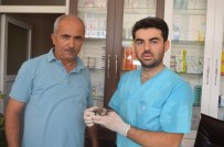 Yaralı Kuş'a, Şefkat Eli