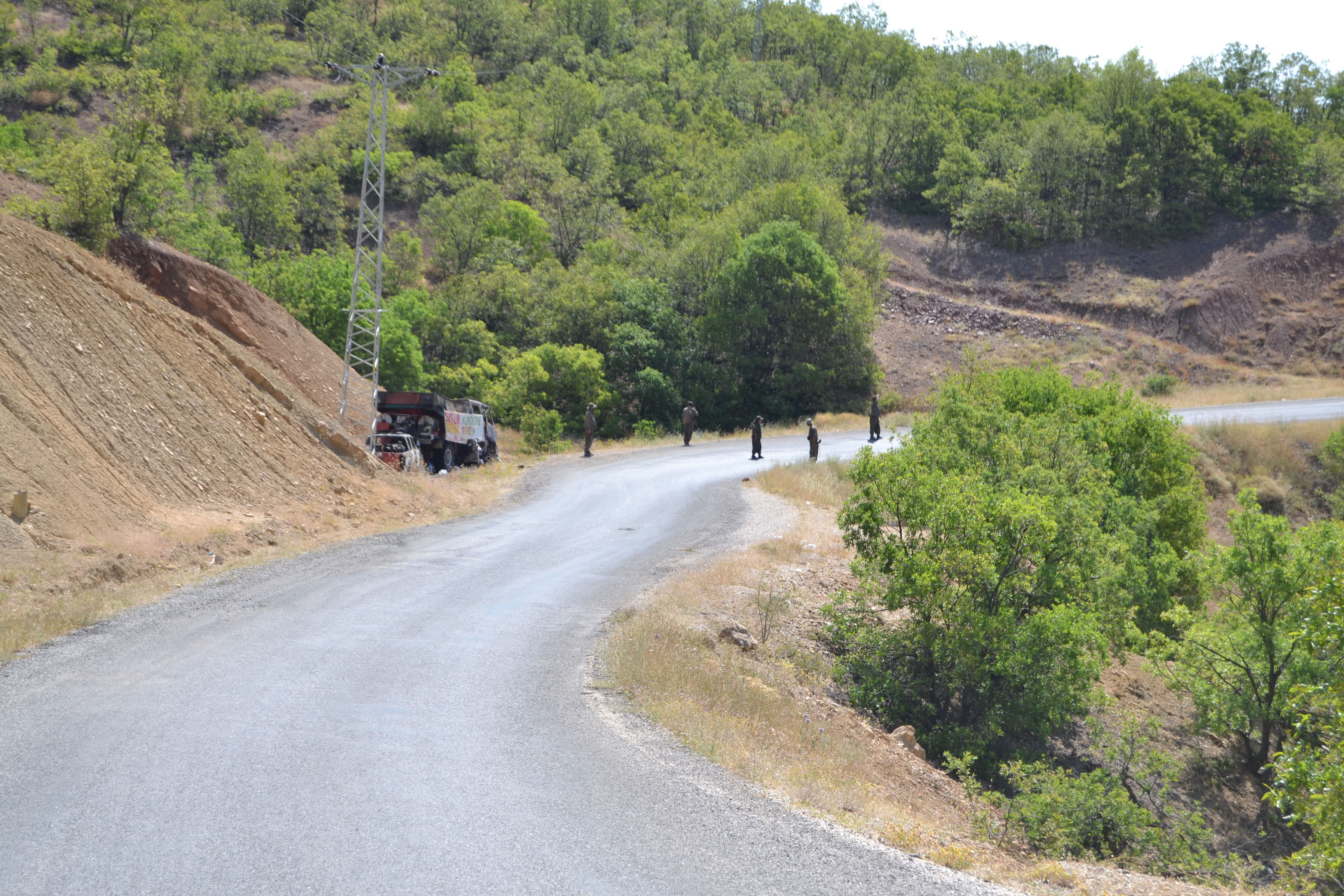 Tunceli'de PKK Ve Tikko birlikte yol kesti