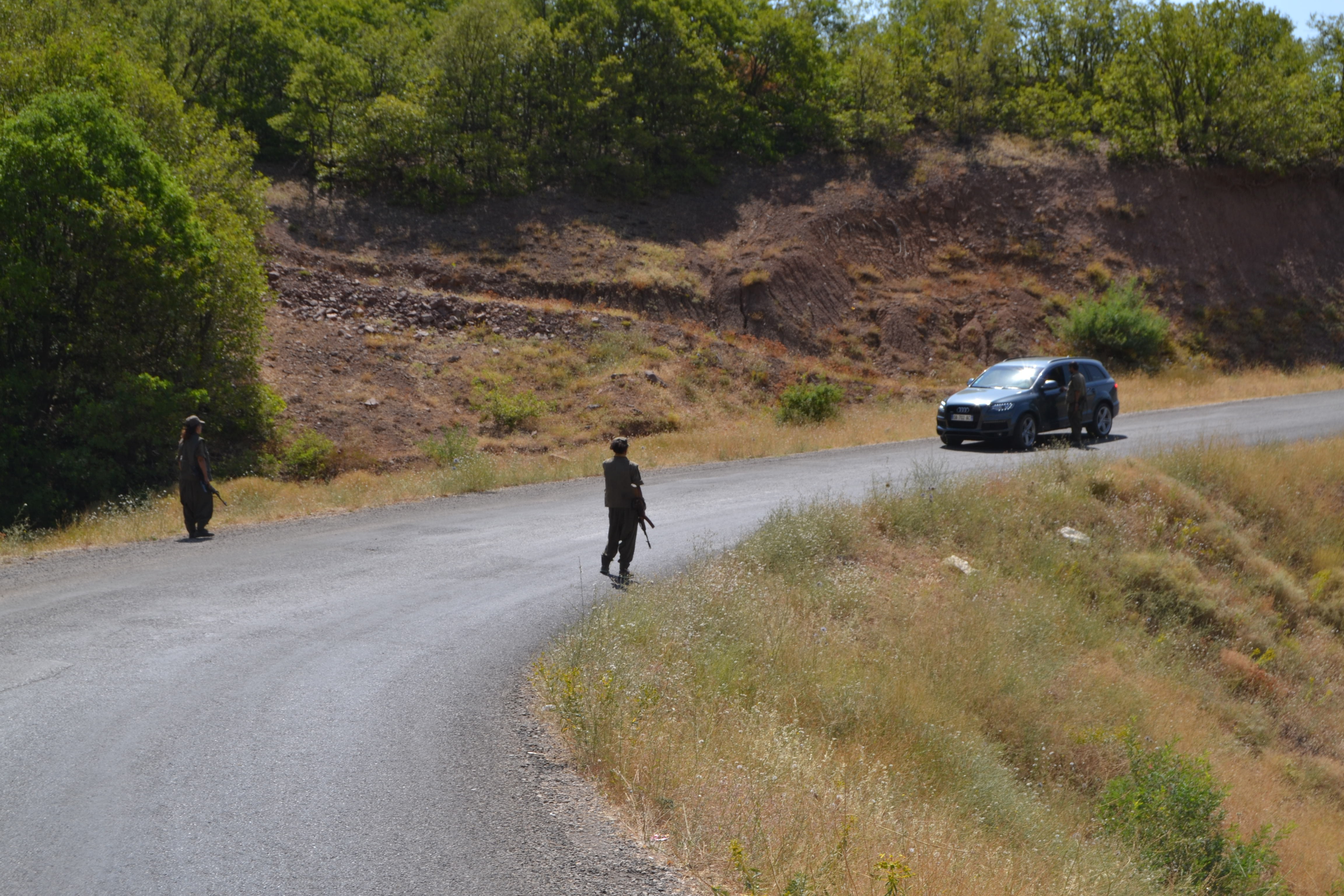 Tunceli'de PKK Ve Tikko birlikte yol kesti