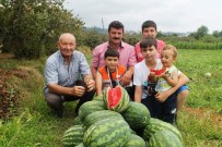 Adana'da Tarlada 10 Kuruş Olan Karpuz'un Kilosu Trabzon'da Tarlada 1,5 TL