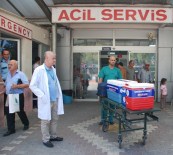 ULUDAĞ ÜNIVERSITESI TıP FAKÜLTESI HASTANESI - Beyin Ölümü Gerçekleşen Şahsın Organları 5 Kişiye Umut Oldu