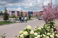 Bingöl Üniversitesi'ne 3 Bin 305 Öğrenci Kayıt Yaptırdı