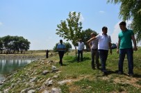 KUĞULU PARK - Çifteler Sakaryabaşı Örnek Oluyor