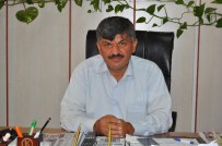 Hasat Zamanı Gelen Yağış Üreticiyi Mağdur Etti