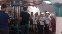 MEHMET KÜÇÜK - Öğrenciler Sanko Cevizlik Santralı'nı İnceledi