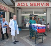 ULUDAĞ ÜNIVERSITESI TıP FAKÜLTESI HASTANESI - Organları 5 Kişiye Umut Oldu