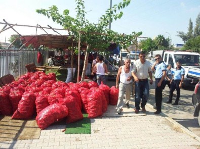 Salçalık Biber Satıcılarına Düzen Uygulaması