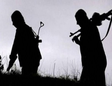 Ağrı'da 5 PKK'lı Etkisiz Hale Getirildi