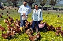 TAVUK ÇİFTLİĞİ - Doğal Ortamda Tavuk Çiftliği Kurdular