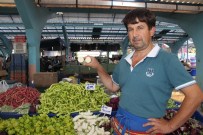 KARNıYARıK - Edirne'de Beyaz Patlıcan Dönemi