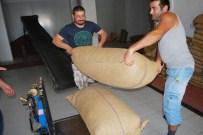 Fındık Pazara İndi