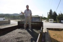 Keşan'da Yılık İlk Ayçiçeği 2,50 TL'den Satıldı