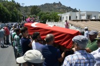 BODRUM KAYMAKAMI - Kıbrıs Gazisi Şen Toprağa Verildi
