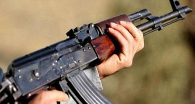 Muş'ta 2 PKK'lı Terörist Öldürüldü!