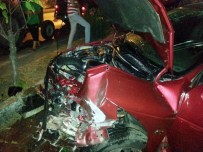 Otomobili Nehre Uçmaktan Korkuluklar Kurtardı