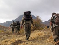 PKK'lılar korucularla çatıştı; 2 terörist öldürüldü