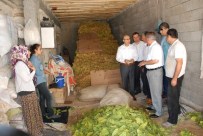 DOĞANLı - Samsat'ın Köyleri Modern Bir Görünüme Kavuşuyor