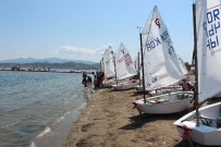 RıZA METE - Urla Bağbozumu Şenlikleri Başladı