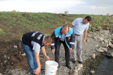 Aygır Ve Deniz Gölünde Balıklandırma Çalışması Yapıldı