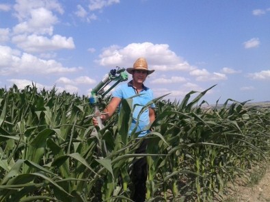 Çiftçinin Aşırı Sıcakta Zorlu Mesaisi