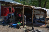 FINDIK HASADI - Fatsa Ziraat Odası Başkanı Kibar Açıklaması