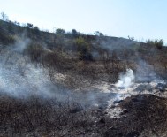 Kocaeli'de Orman Yangını