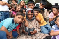 Mardinli Delal Nine'nin Güvercin Sevdası