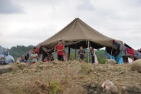 Ordu'ya Gelen Tarım İşçilerinin Sayısı 15 Bini Buldu